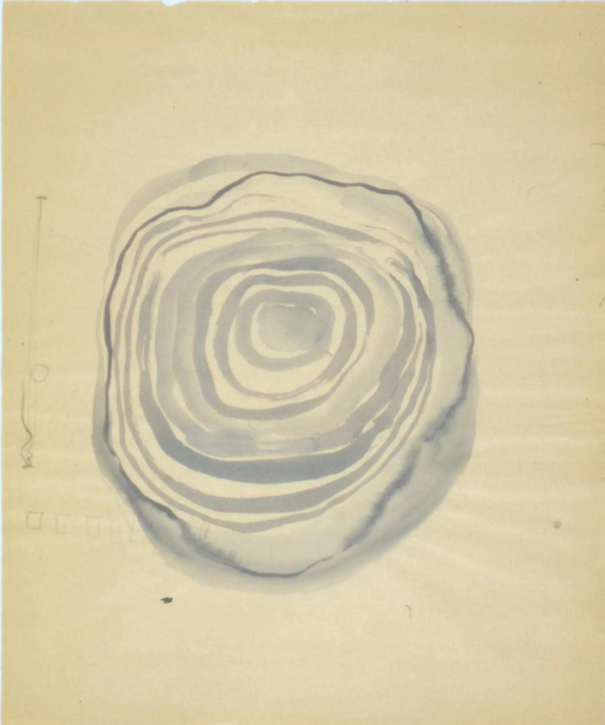 Image for exhibition 