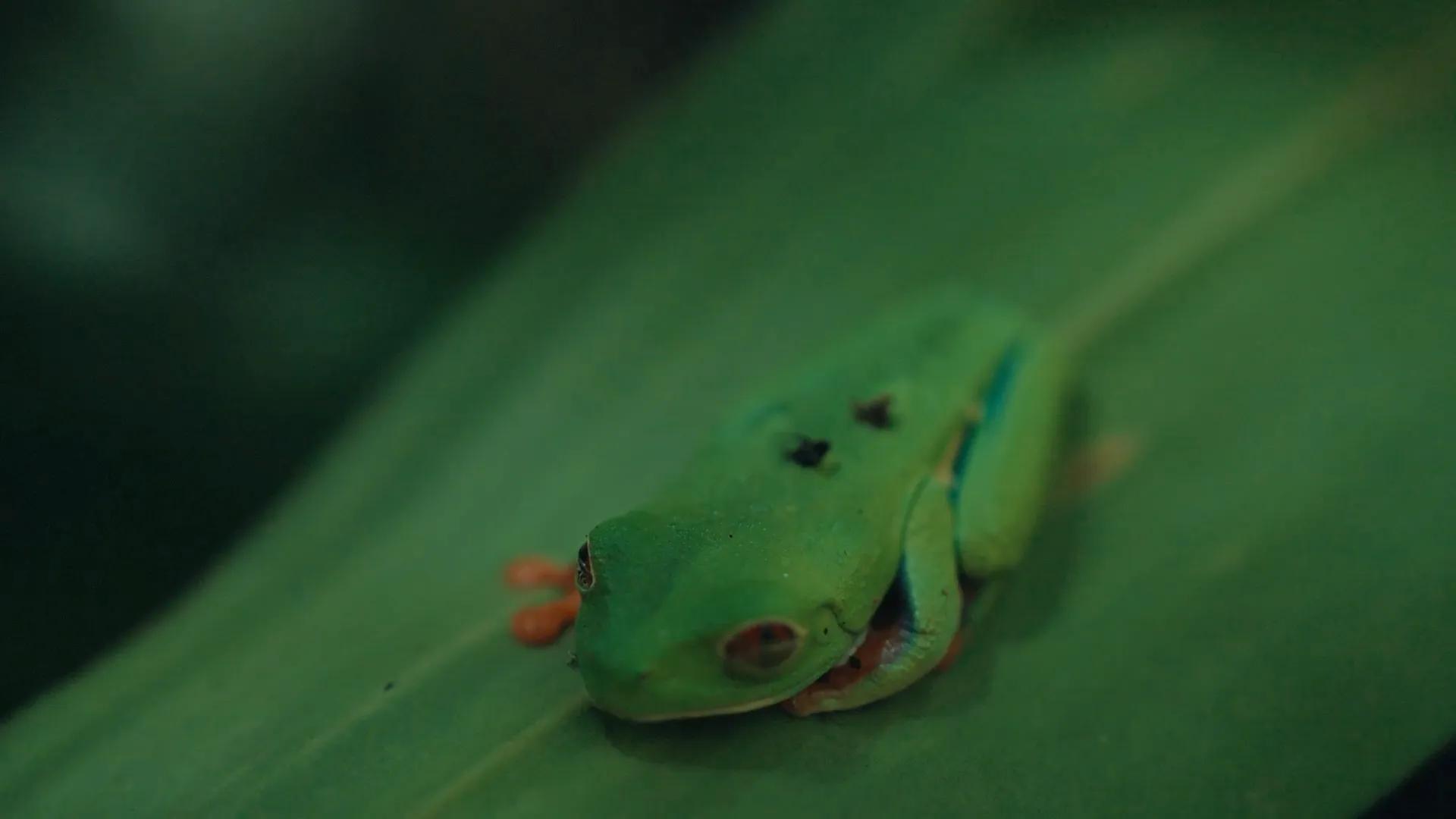 Image for left hero section