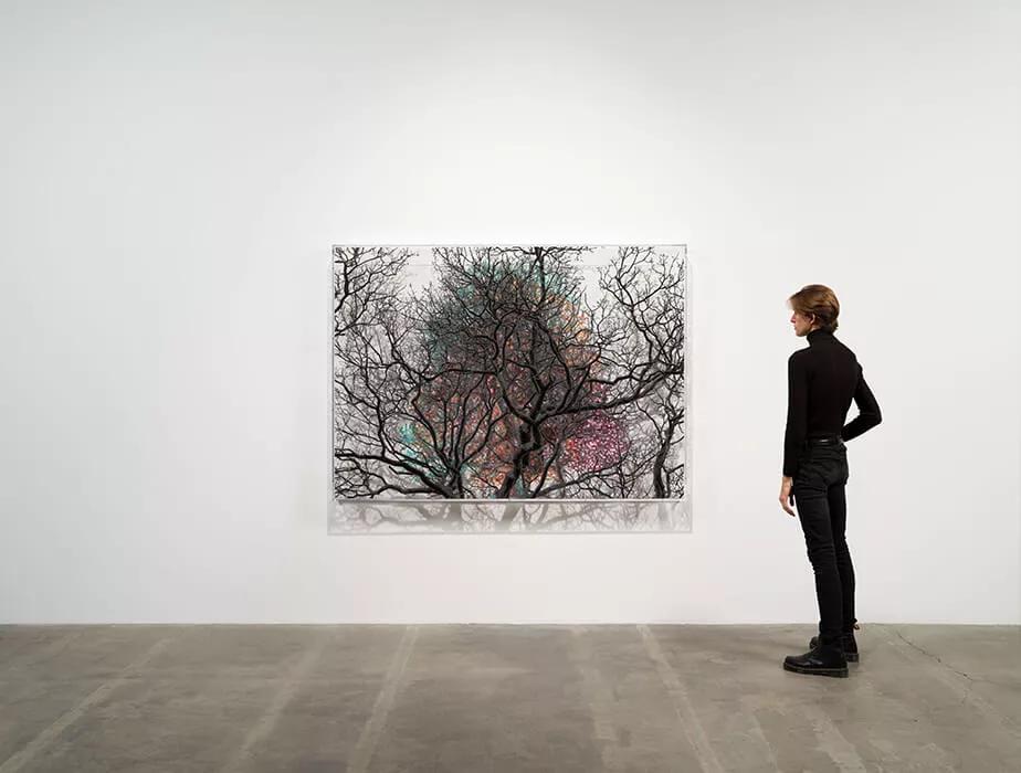 Thumbnail image for exhibition titled Numbers and Trees: London Series 2, Tree #4, Millennium Bridge