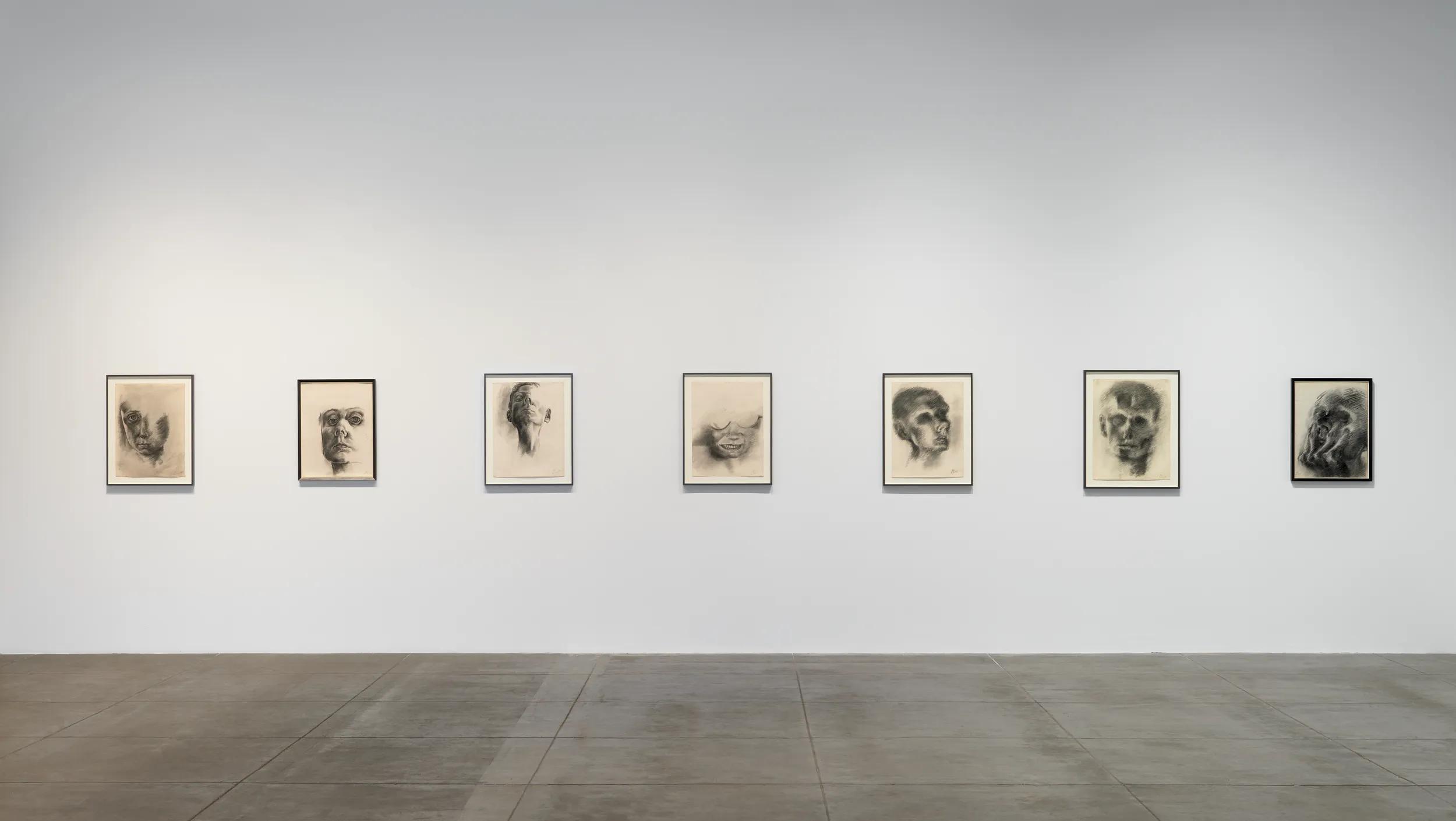 Installation view image for INSTALLATION VIEWS