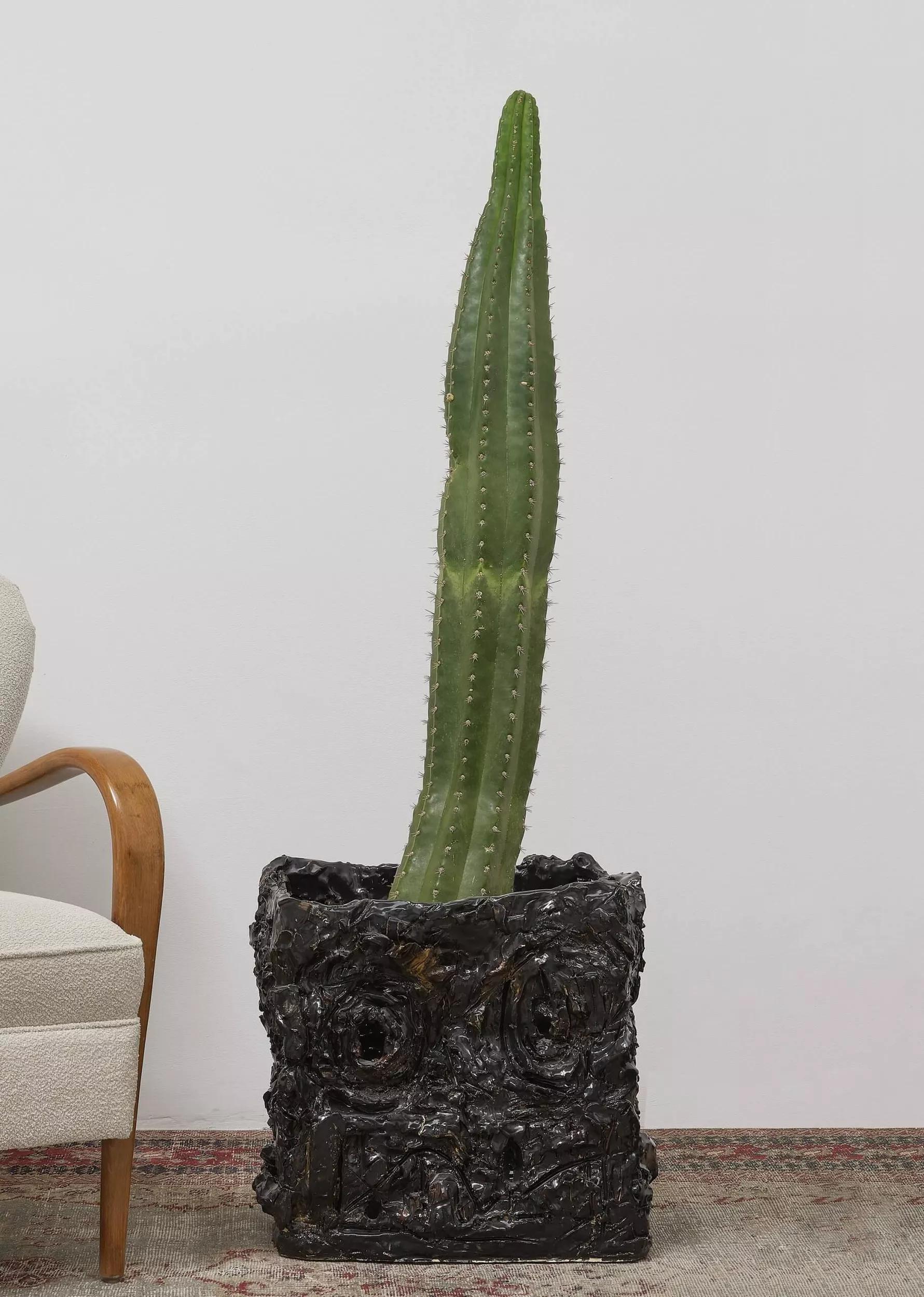 Image for exhibition titled Rashid Johnson