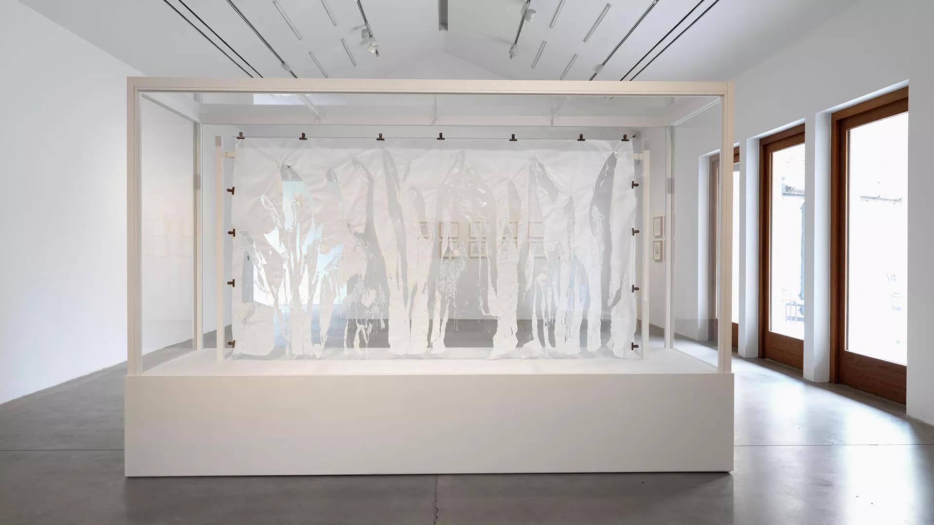 Image for exhibition 