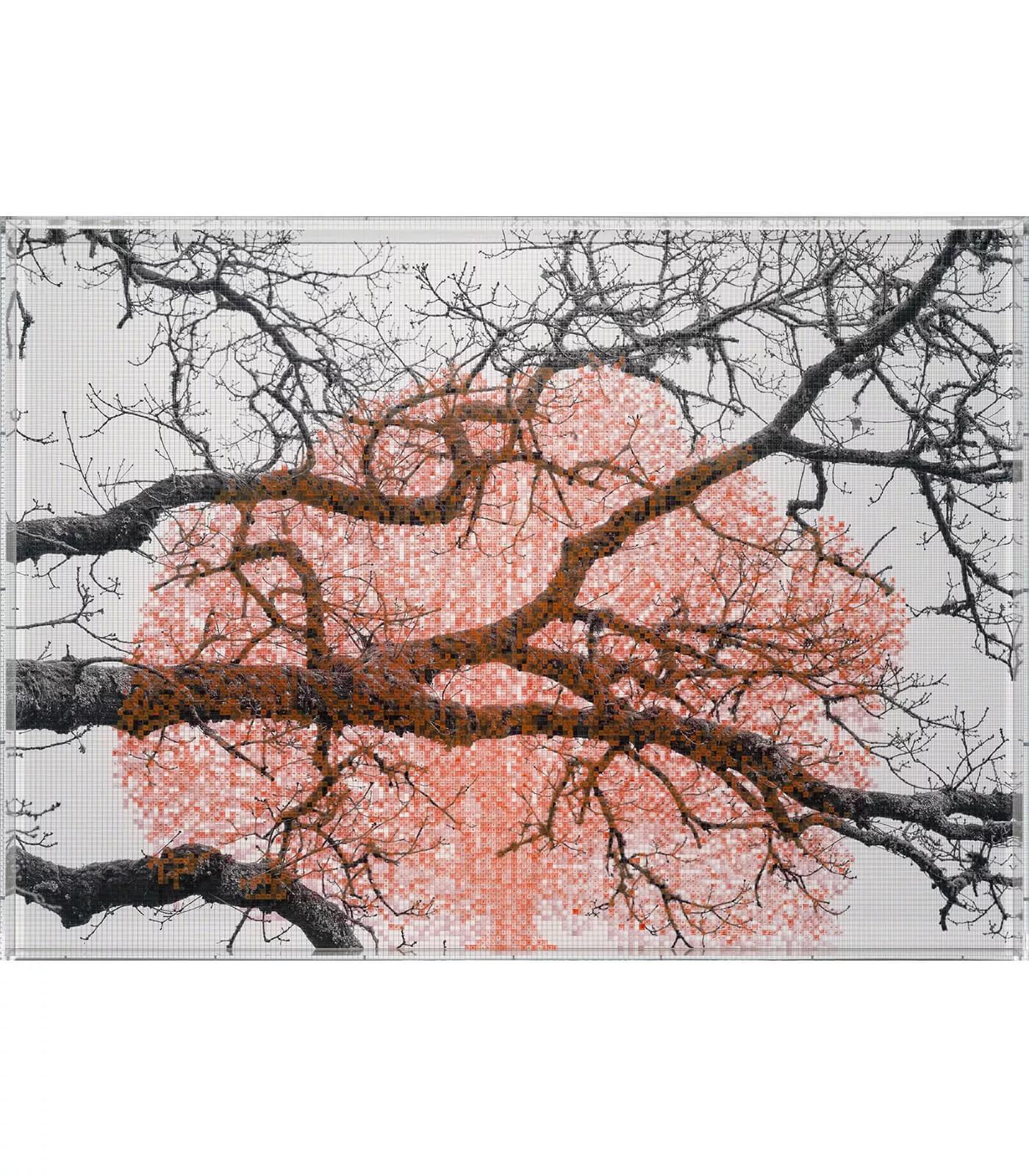Image for exhibition titled Charles Gaines