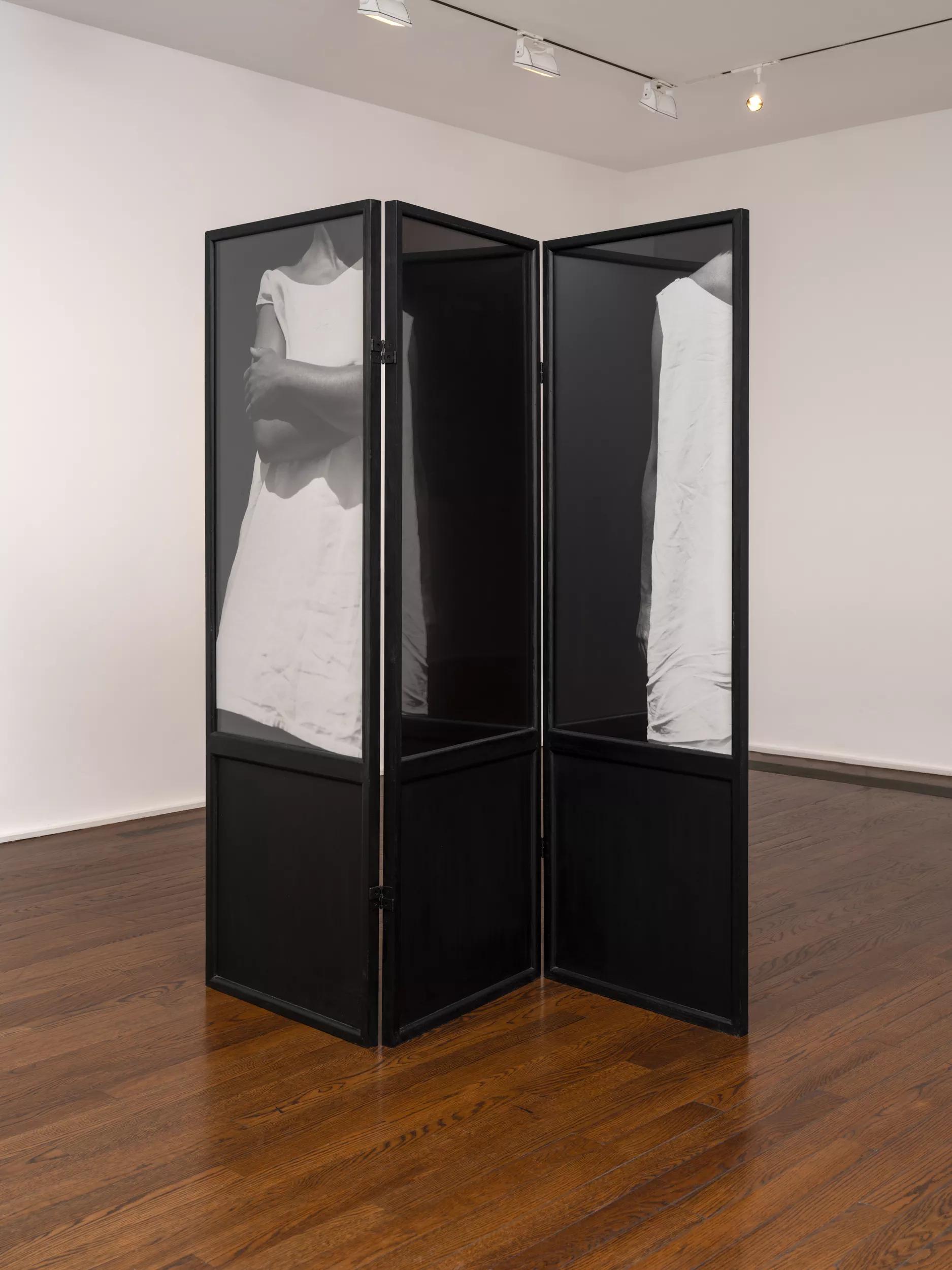 Image for exhibition titled Lorna Simpson