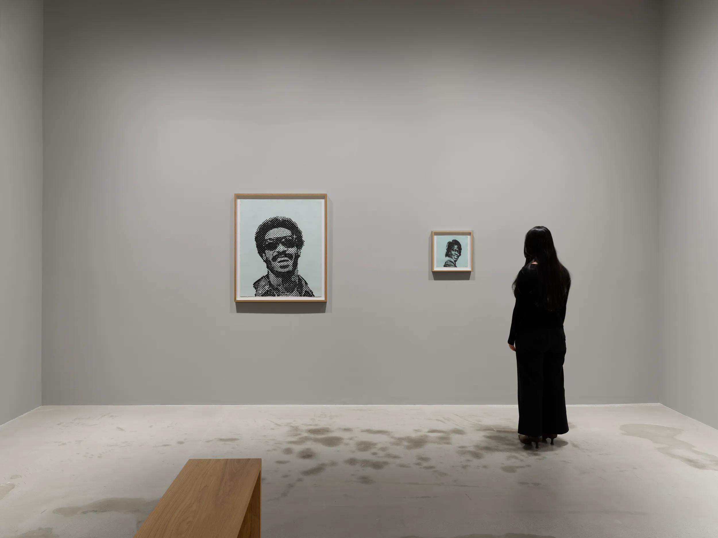 Installation view image for Installation views