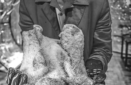 Thumbnail image for news titled Hauser & Wirth announces worldwide representation of Italian artist Roberto Cuoghi