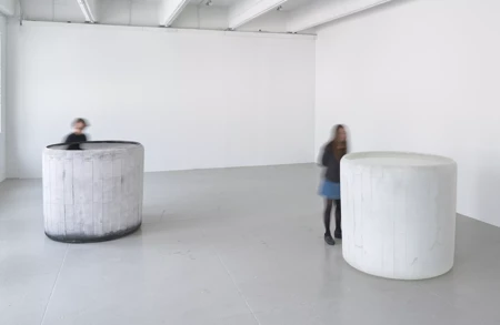 Thumbnail image for exhibition titled Roni Horn