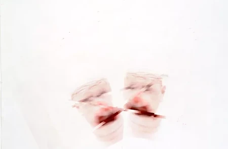 Roni Horn Clownout (2), 2004