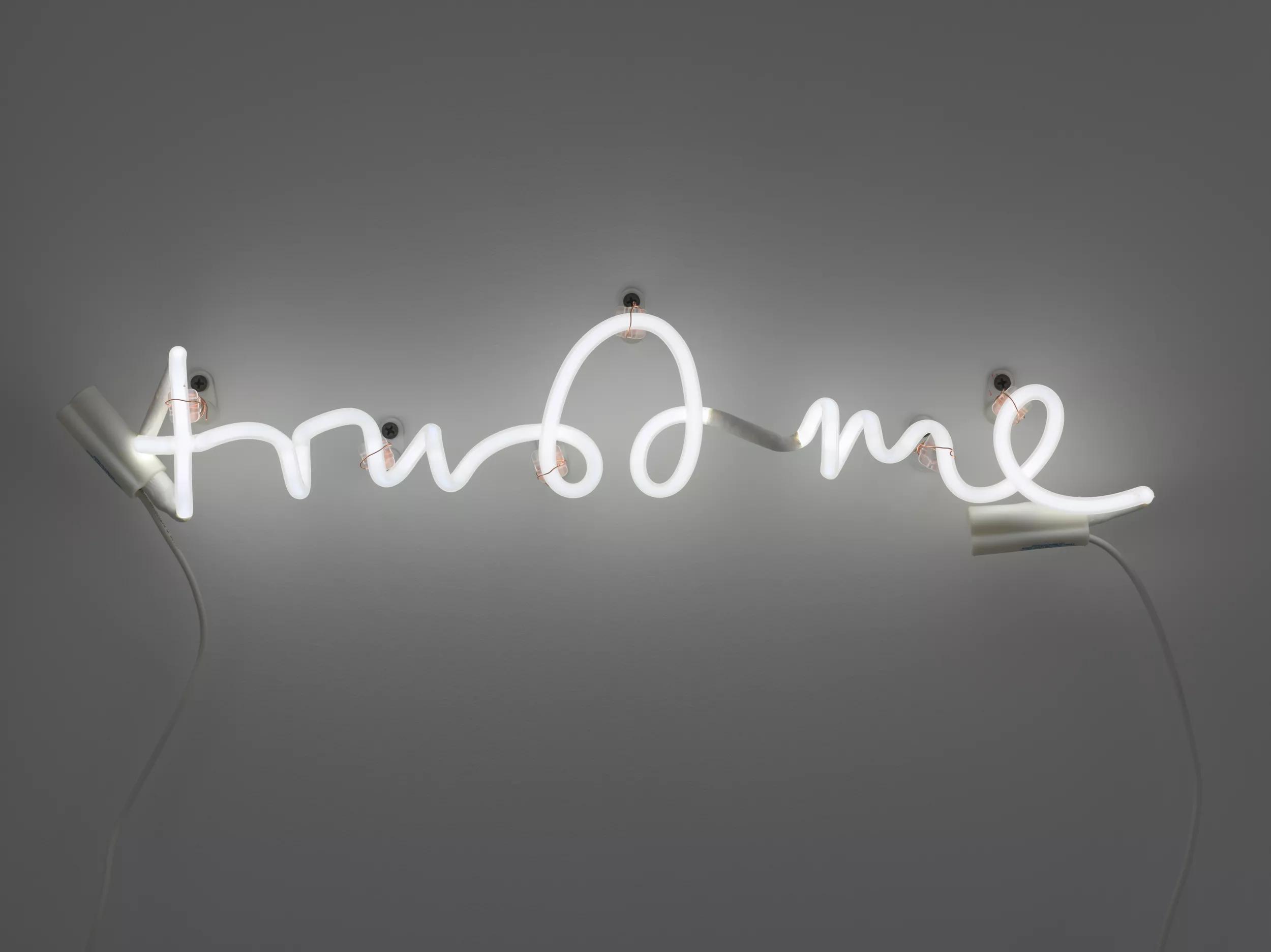 Image for exhibition titled Pipilotti Rist