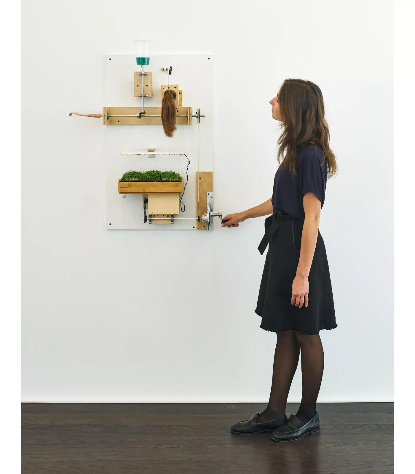 Image for exhibition titled Mika Rottenberg