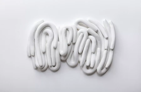 Thumbnail image for exhibition titled Anna Maria Maiolino