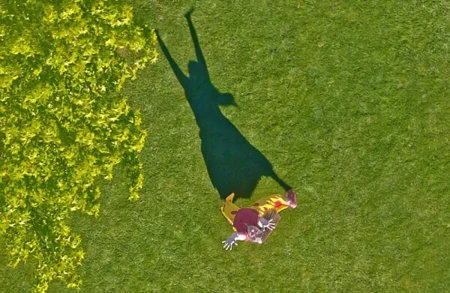 Thumbnail image for exhibition titled Pipilotti Rist<br>Your Palm is My Universe