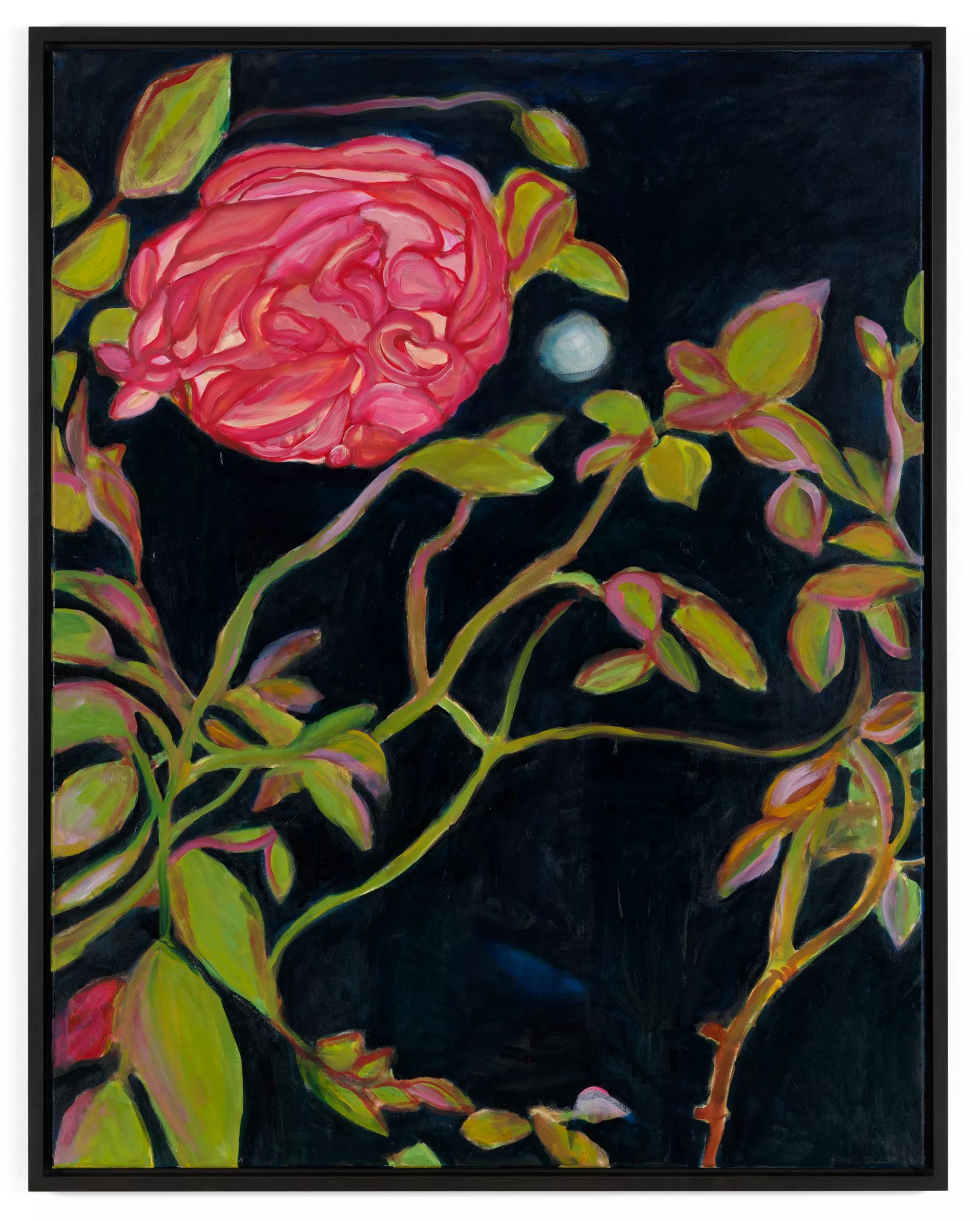 Image for Caro Niederer