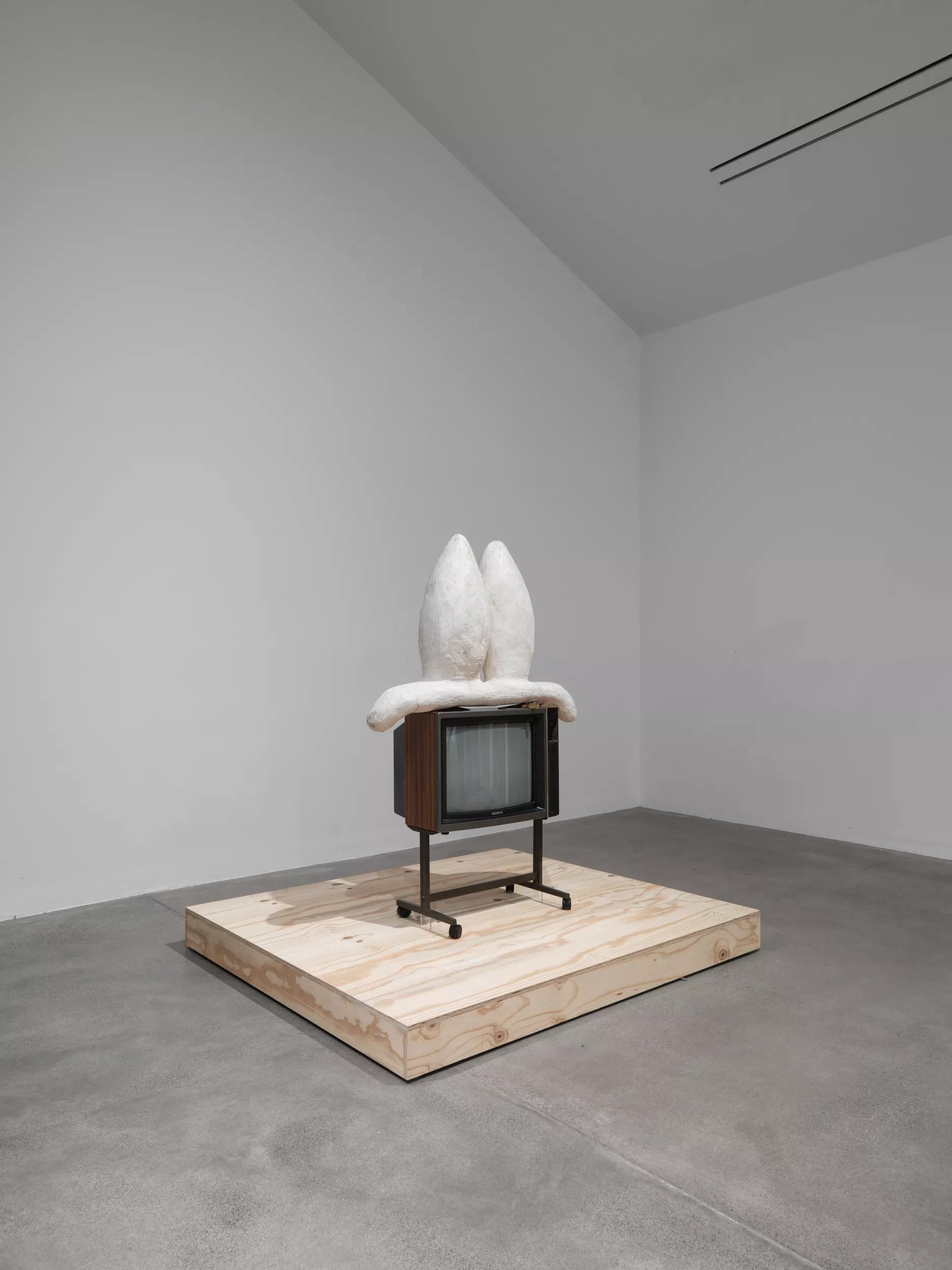 Image for exhibition titled Phyllida Barlow