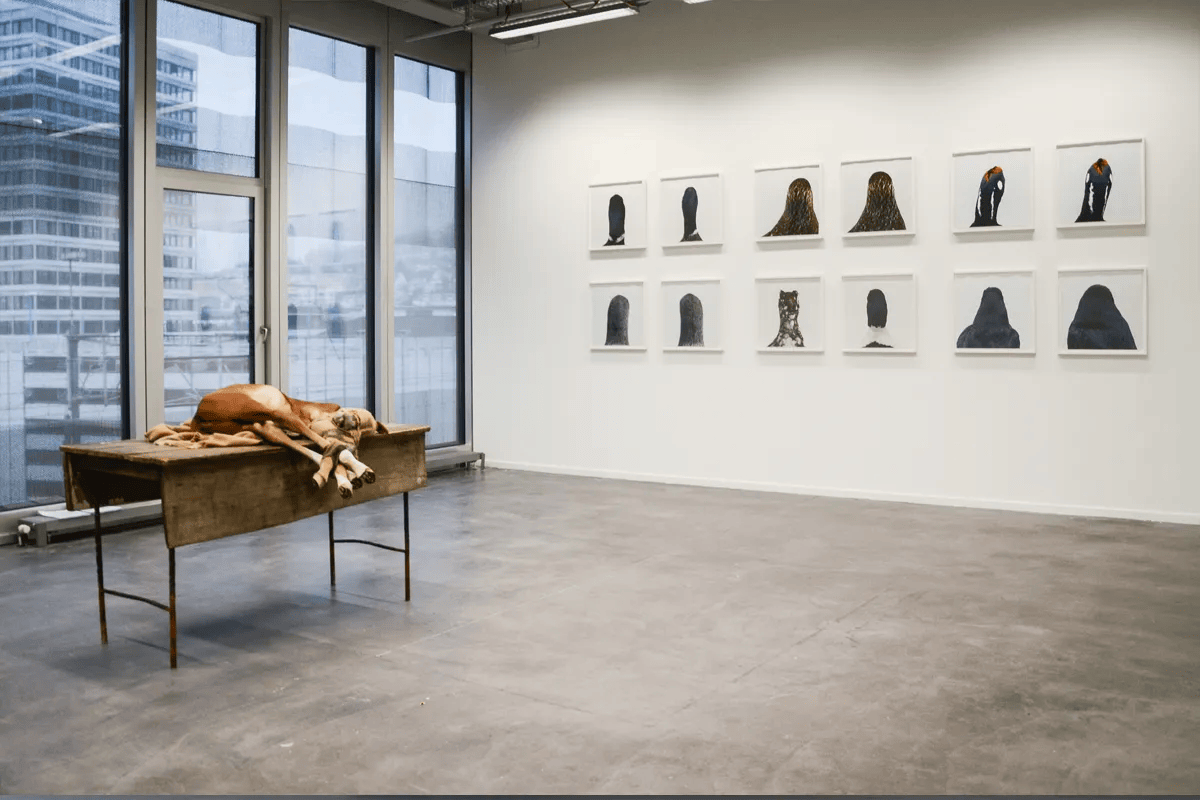 Image for ANIMALS WE ARE OURSELVES