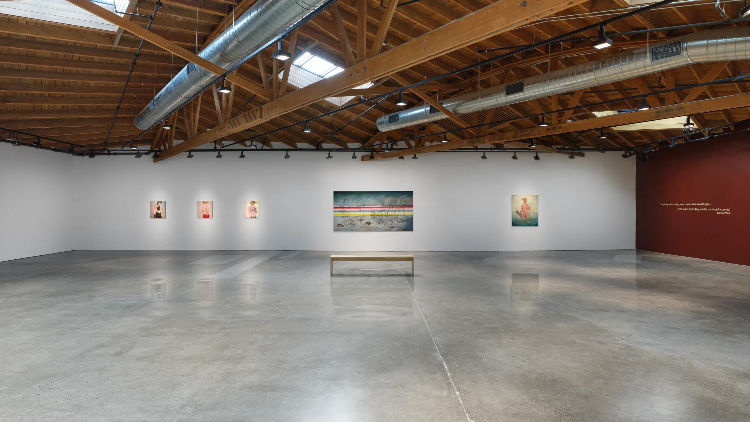 Installation view image for INSTALLATION VIEWS