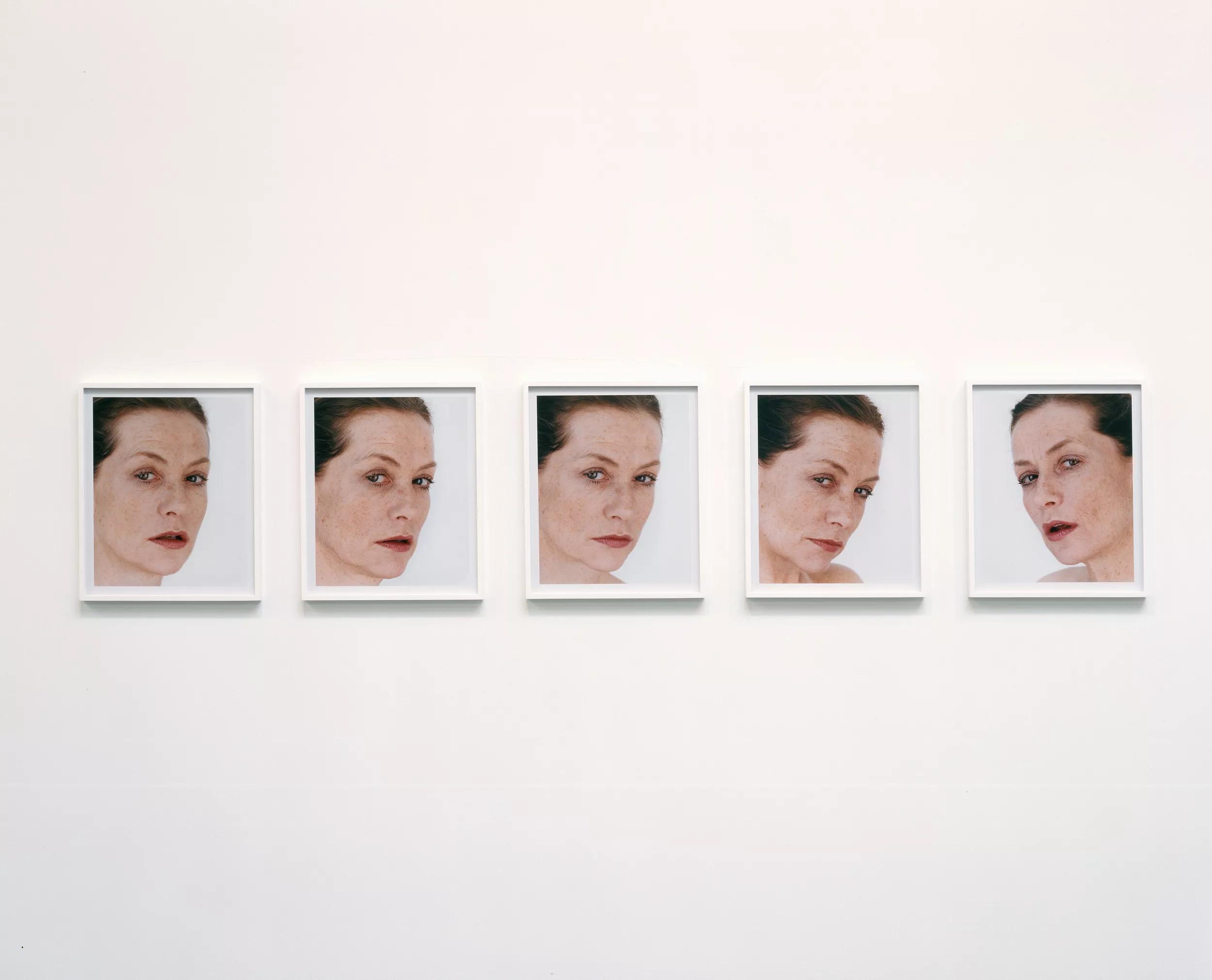 Image for Roni Horn
