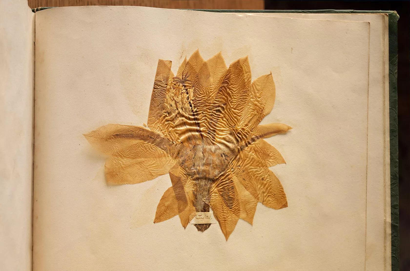 Image for exhibition 