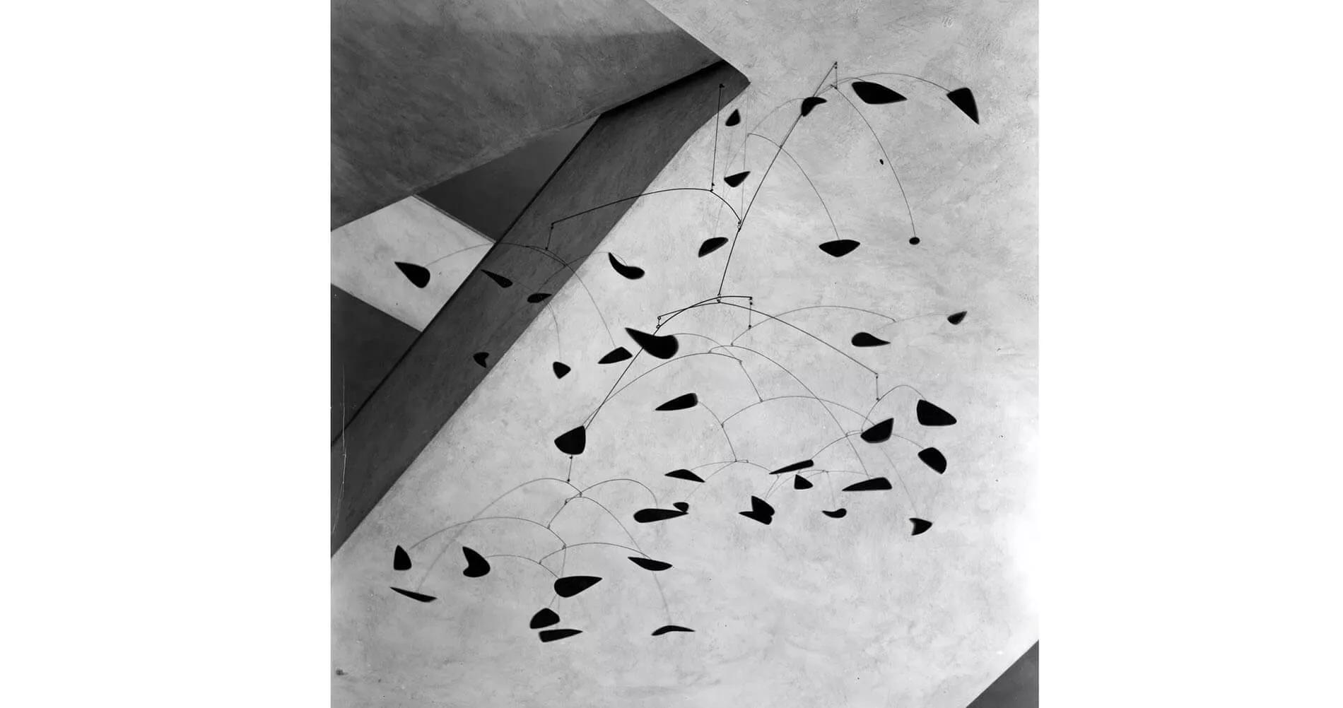 Image for exhibition 