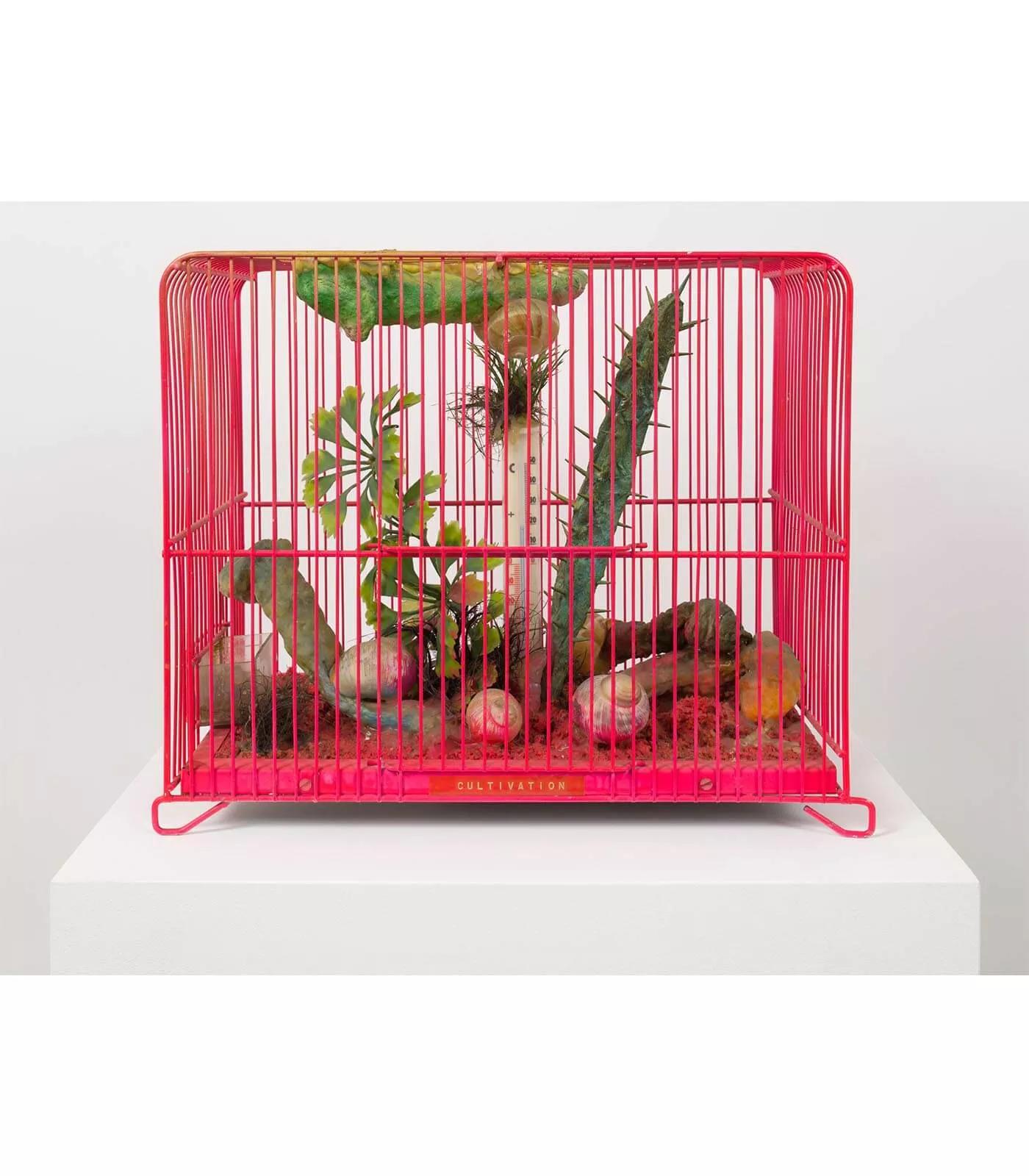 Image for exhibition titled Tetsumi Kudo