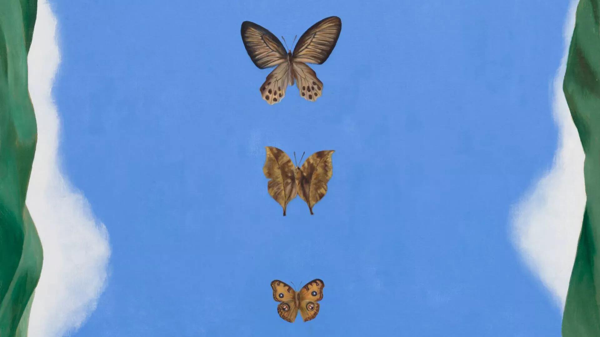 Image for exhibition 