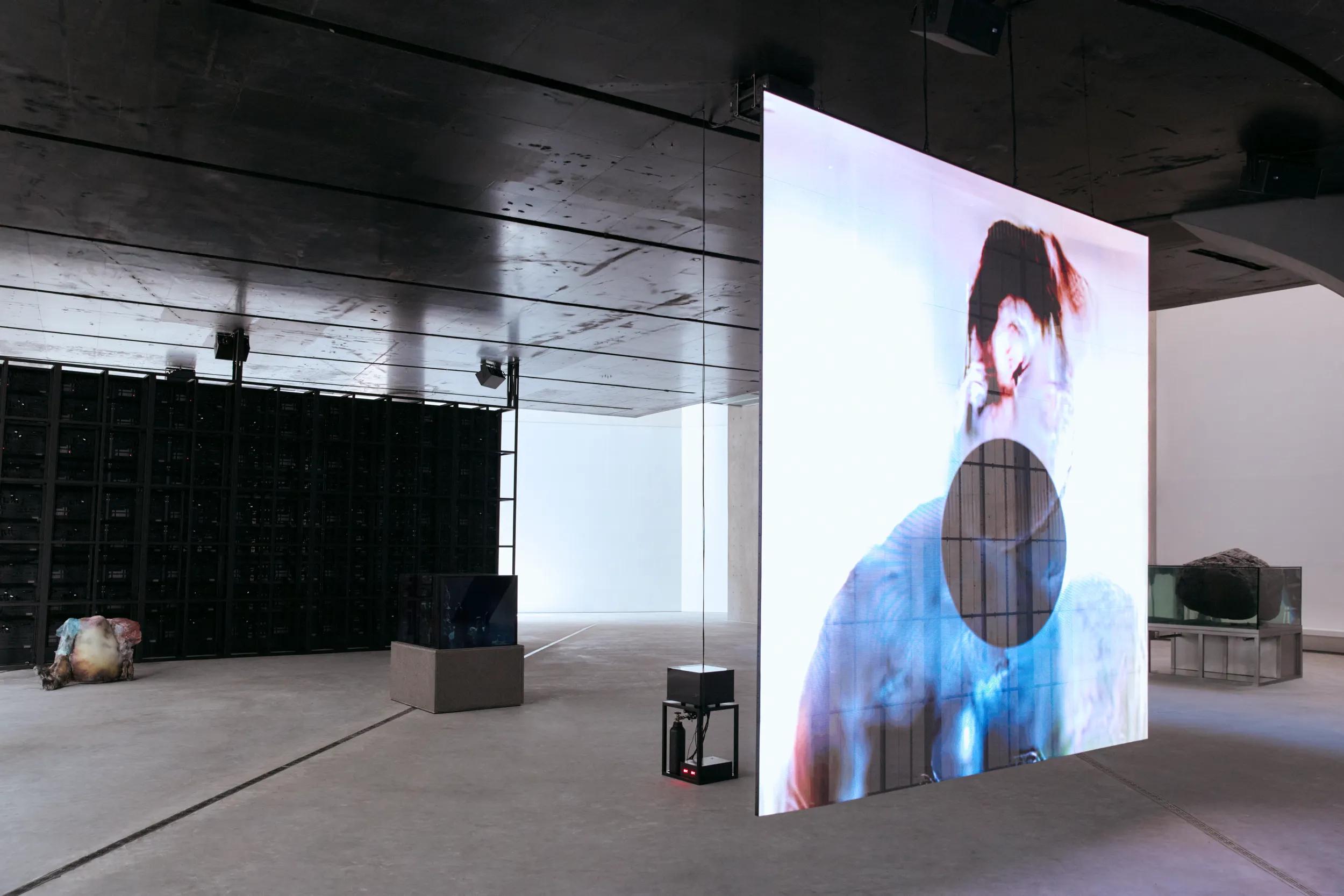 Image for exhibition 