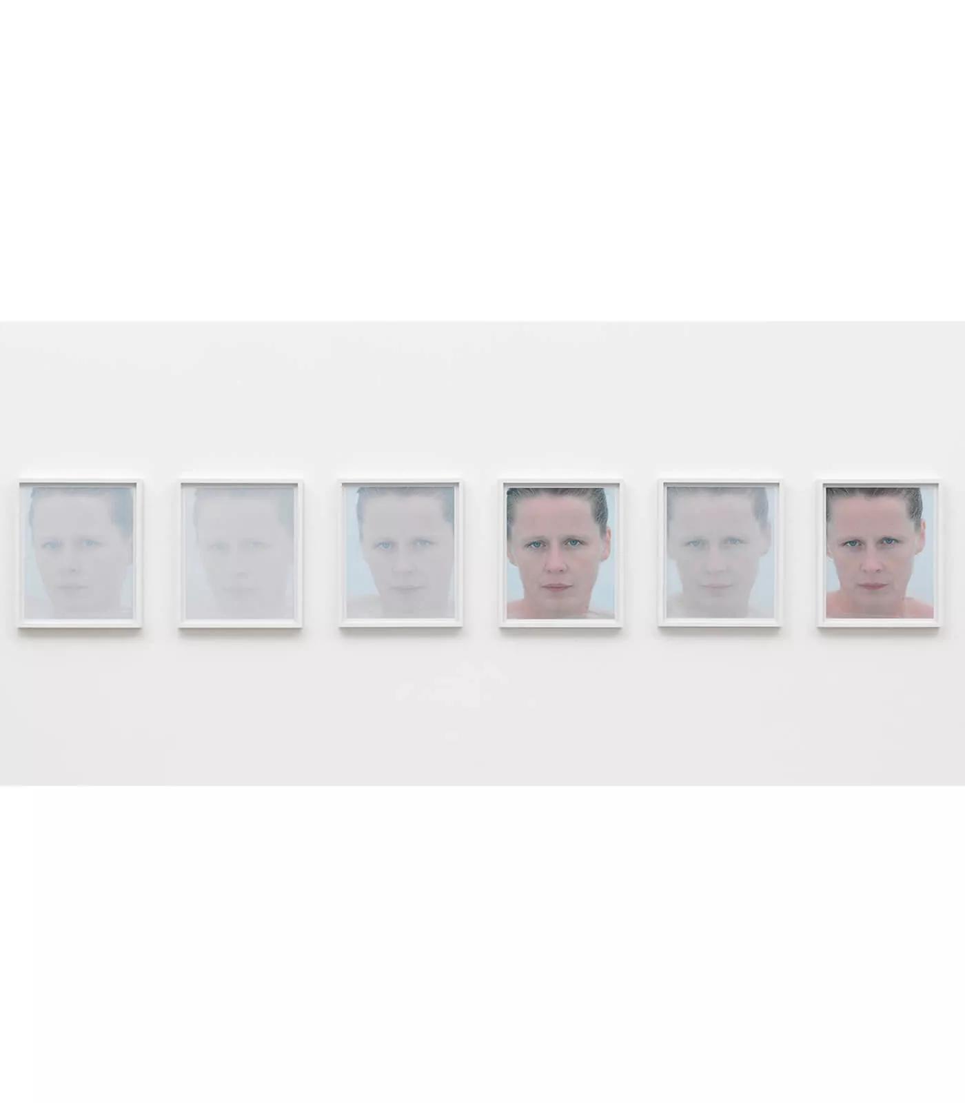 Image for exhibition titled Roni Horn