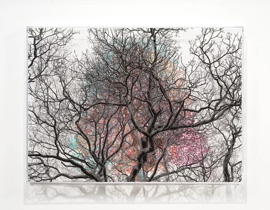 Thumbnail image for exhibition titled Numbers and Trees: London Series 2, Tree #4, Millennium Bridge