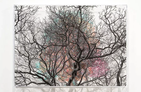 Thumbnail image for exhibition titled Numbers and Trees: London Series 2, Tree #4, Millennium Bridge
