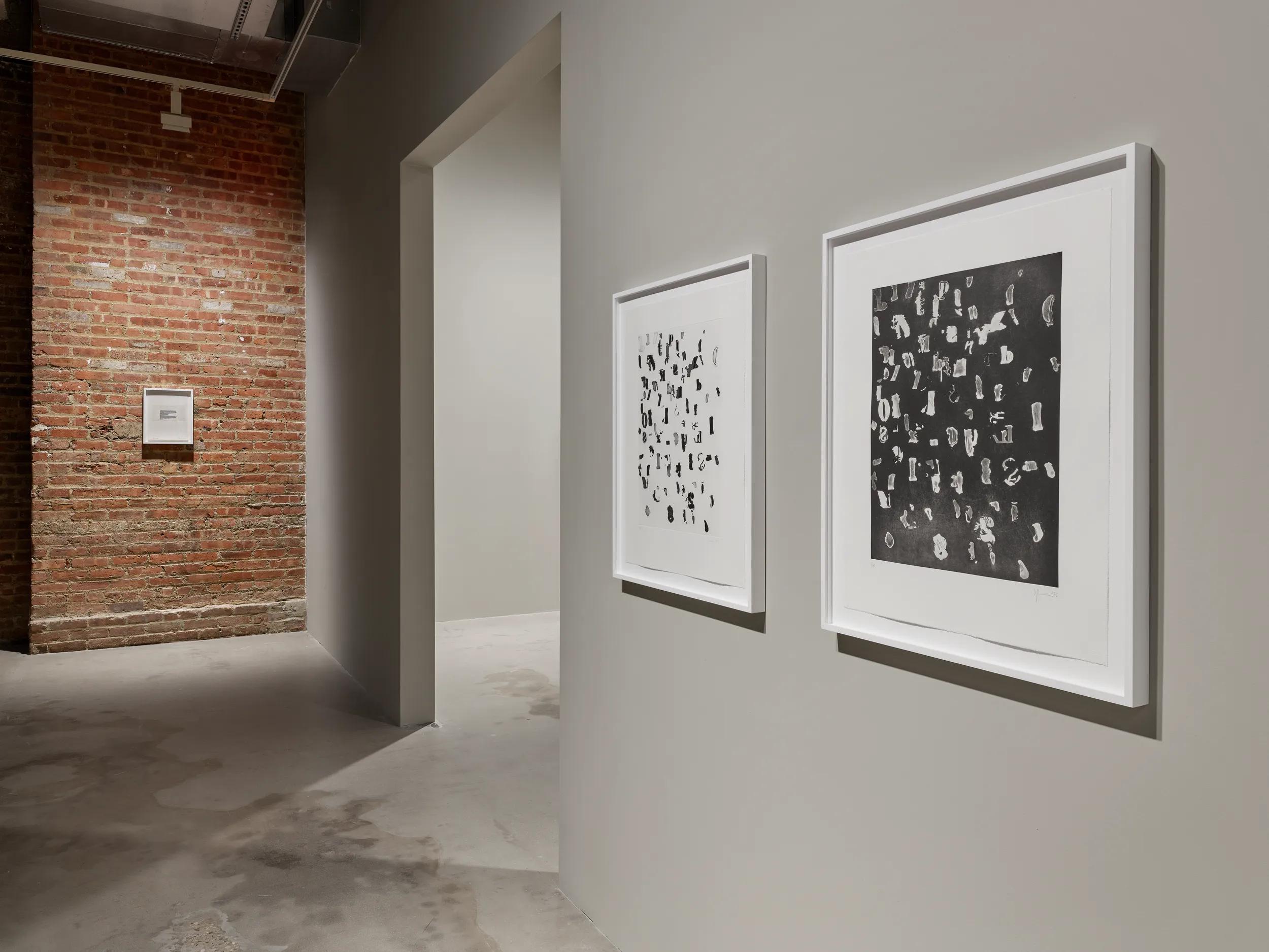 Installation view image for Installation views