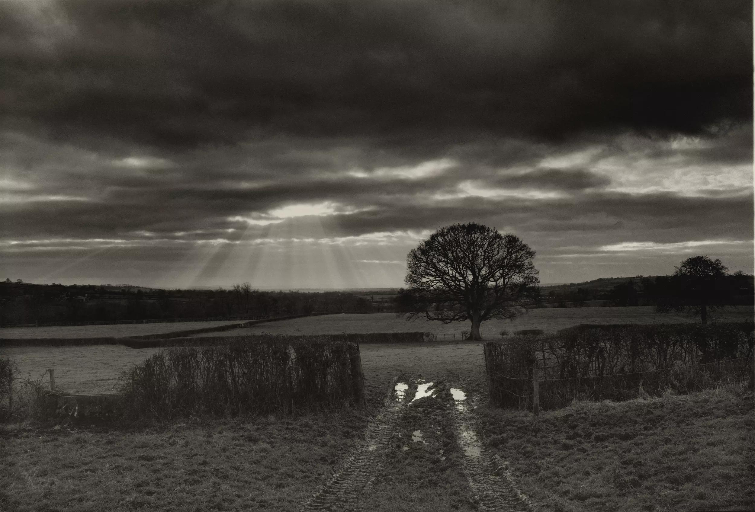Hero image for event titled Limited Signed Editions: ‘The Landscape’ by Don McCullin