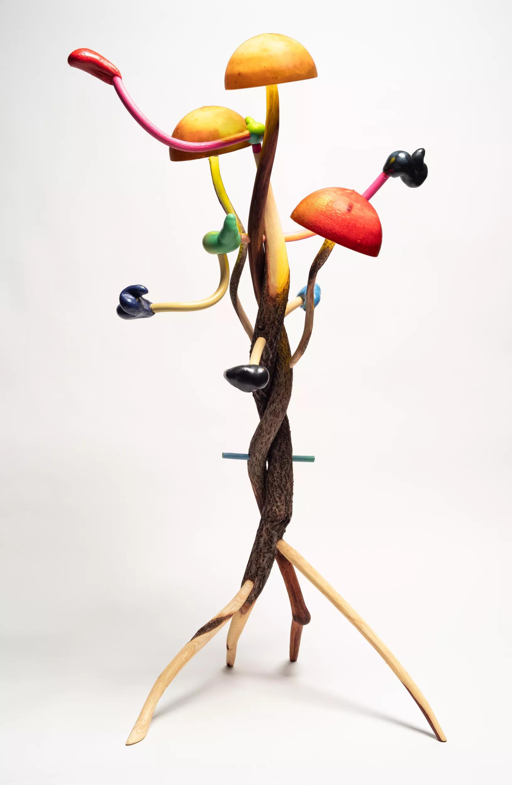Image for exhibition titled Mika Rottenberg