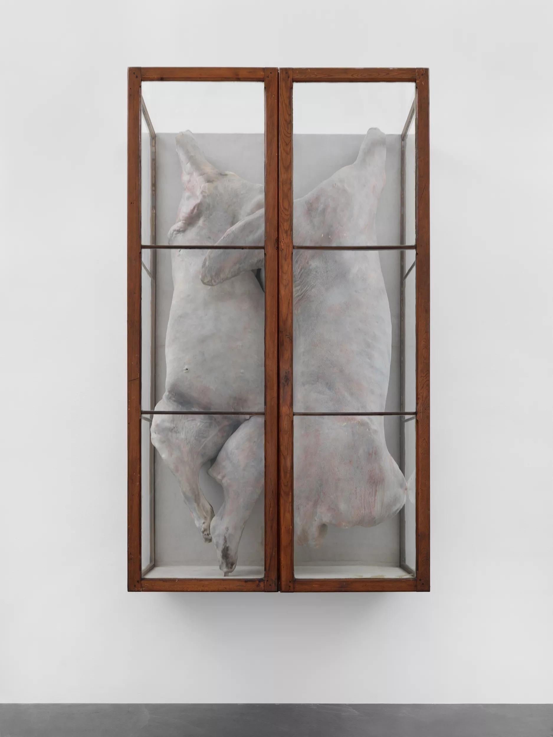 Image for exhibition titled Berlinde  De Bruyckere