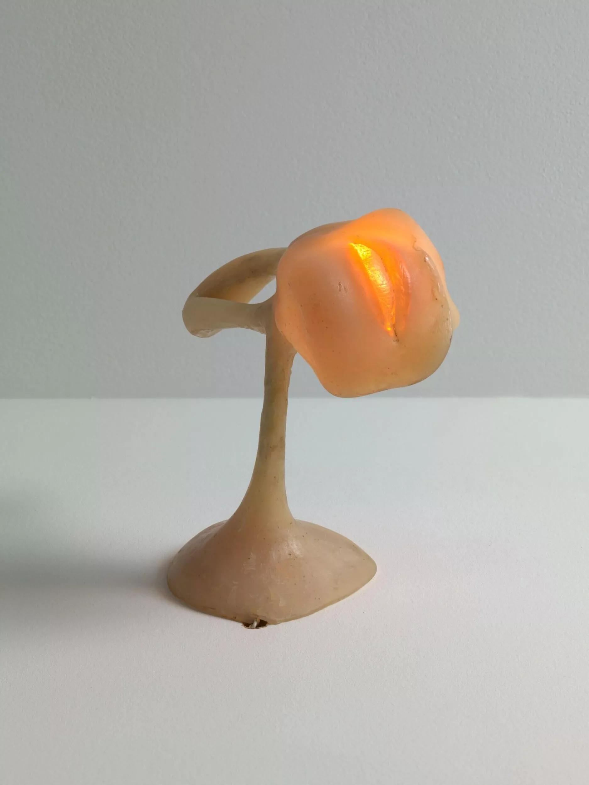 Image for exhibition titled Alina Szapocznikow