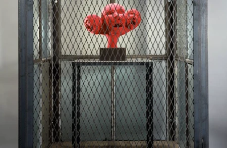 BOURG45261 Cell XIV (Portrait)