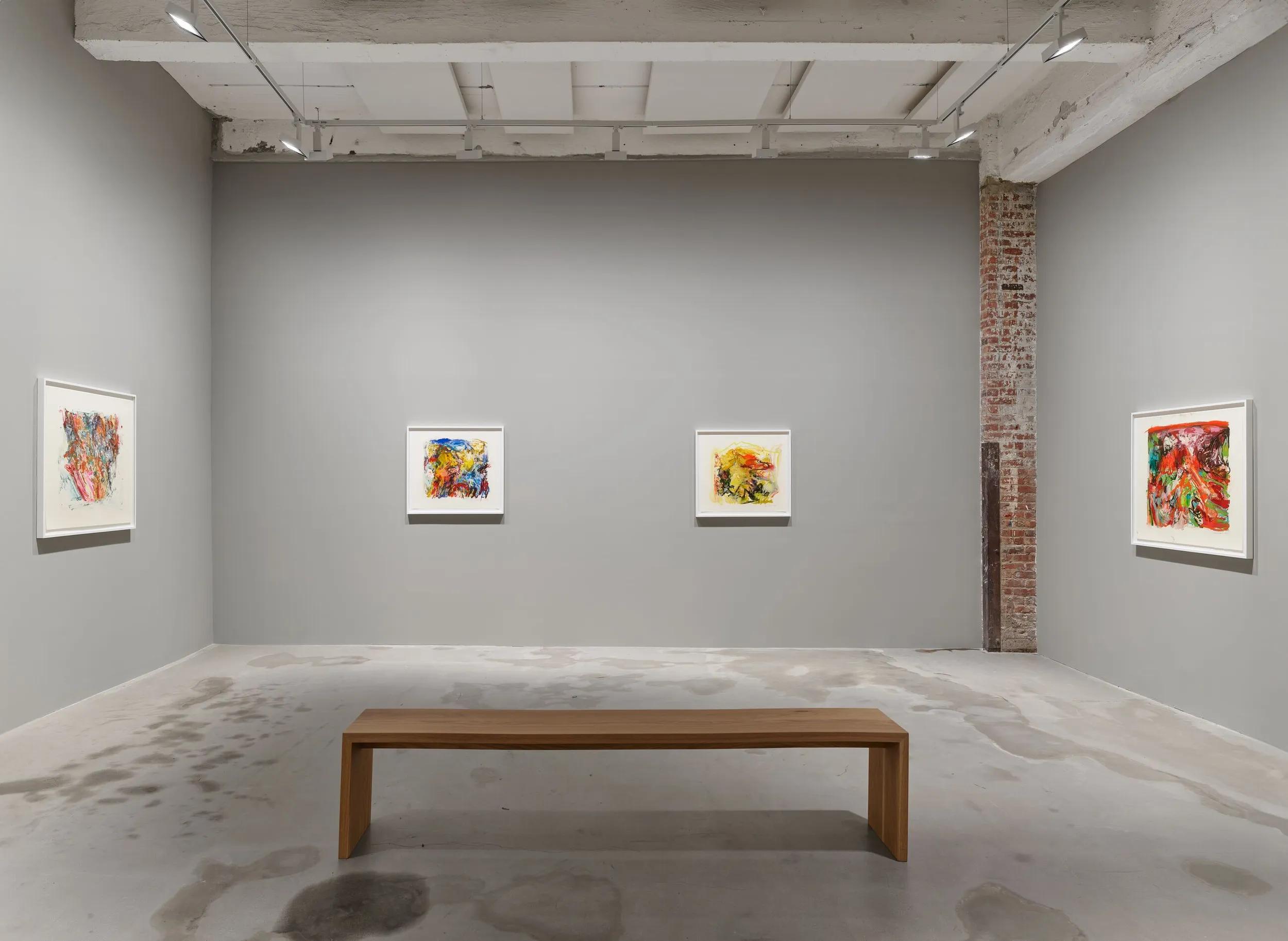 Installation view image for Installation Views