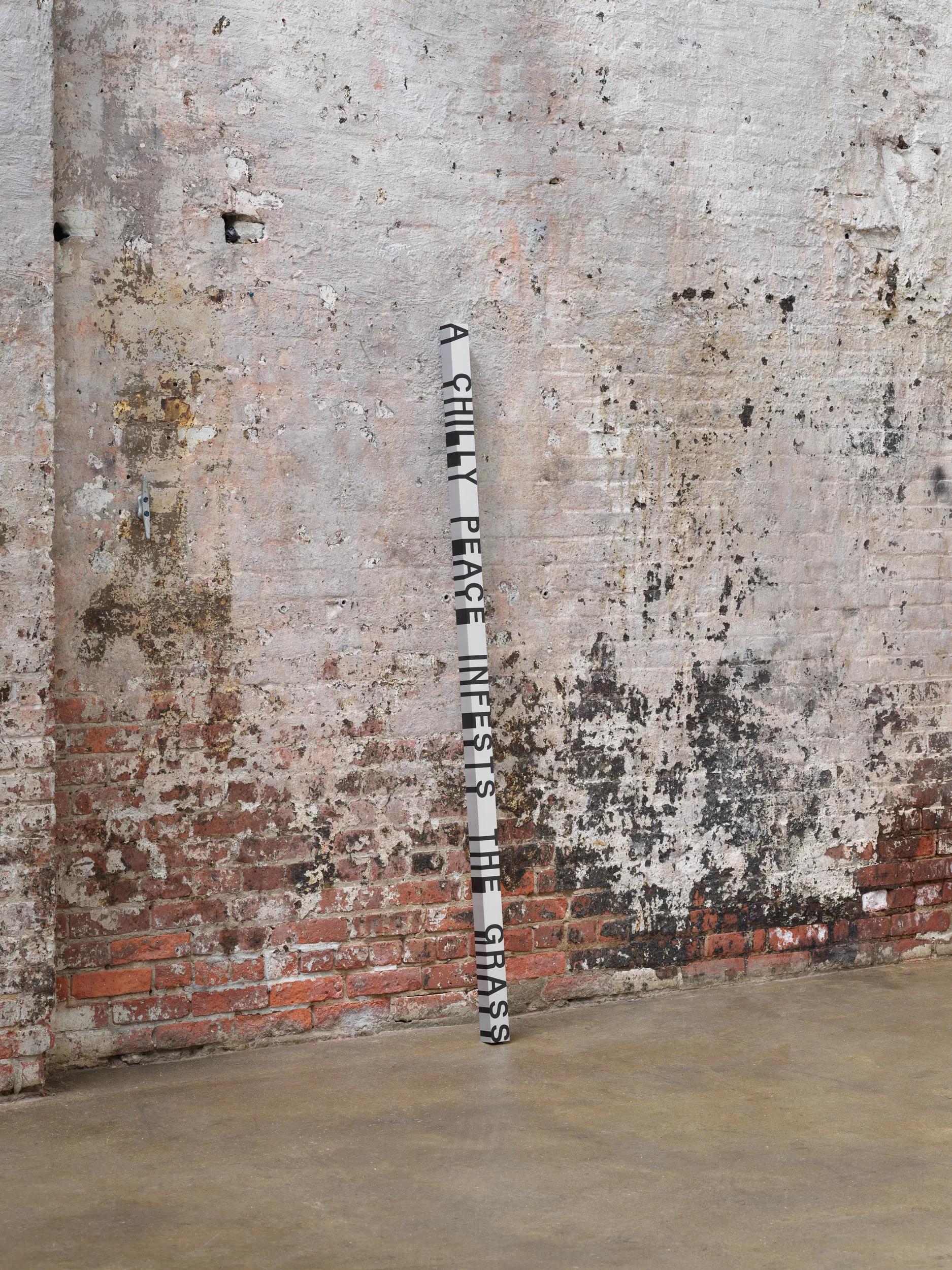 Image for exhibition titled Roni Horn