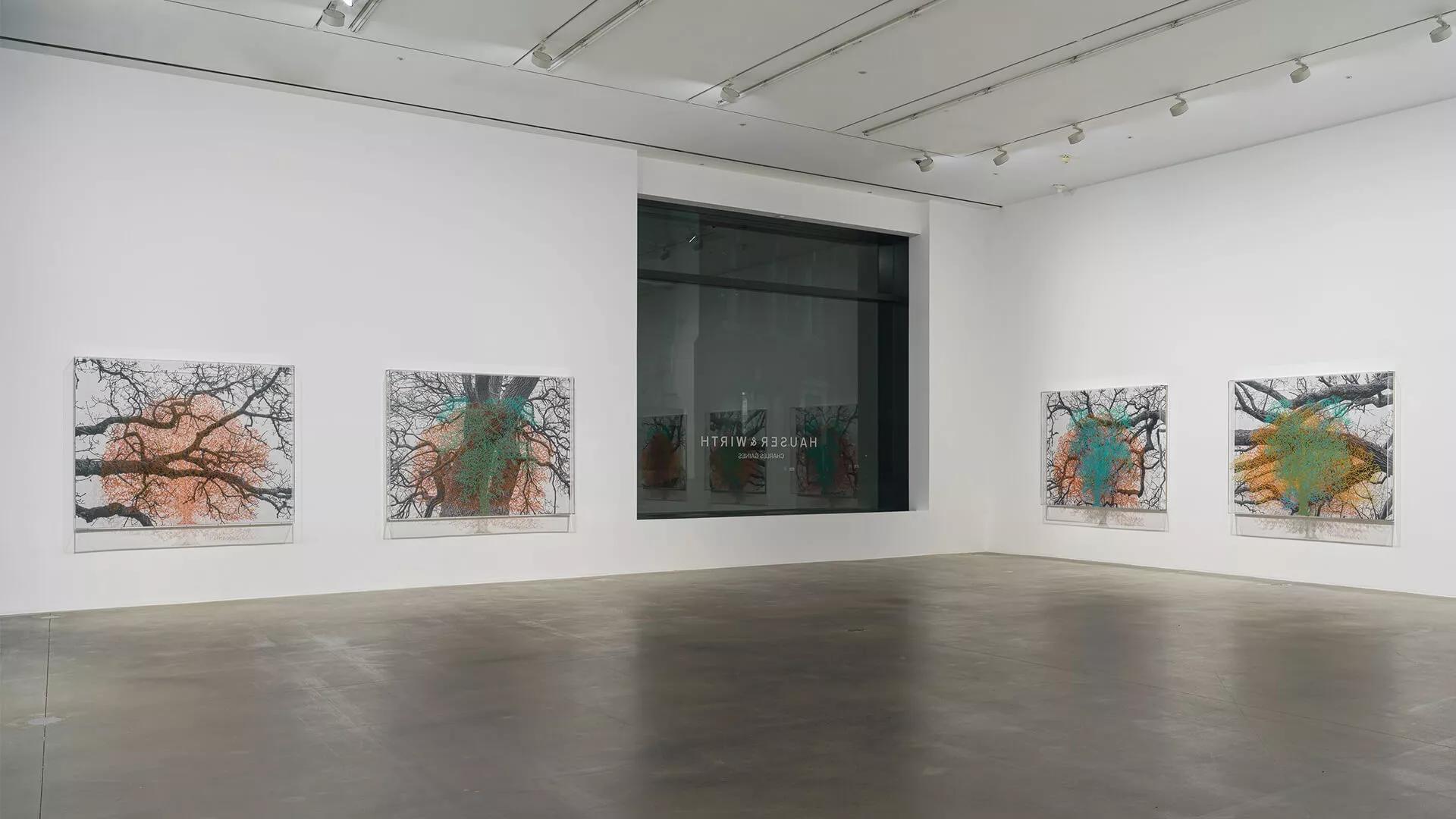 Virtual tour image