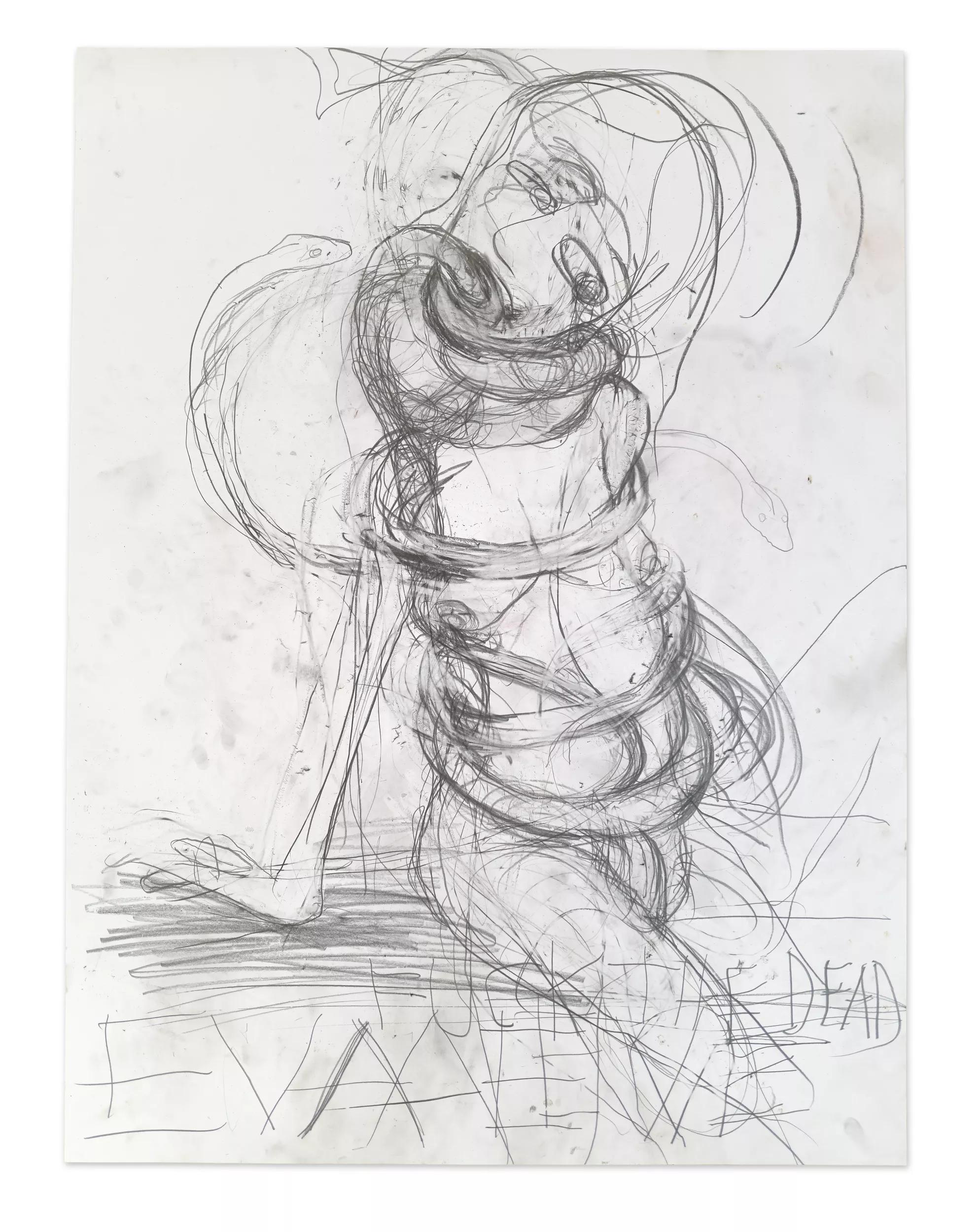 Image for exhibition 