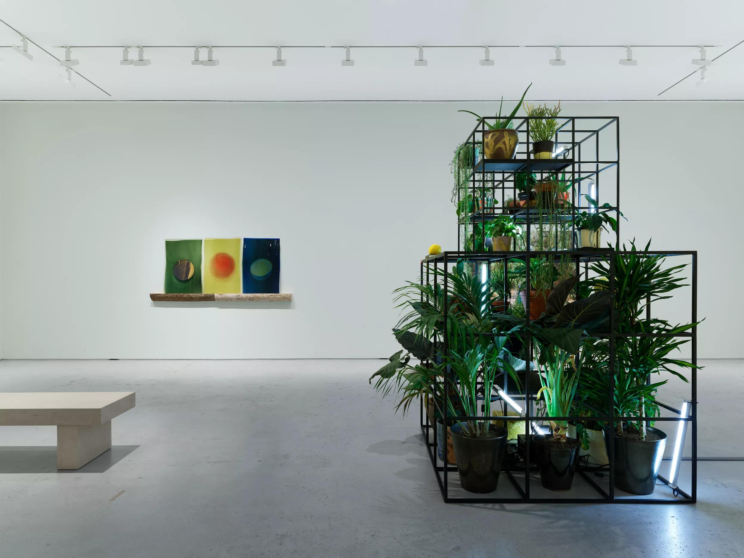 Image for exhibition 