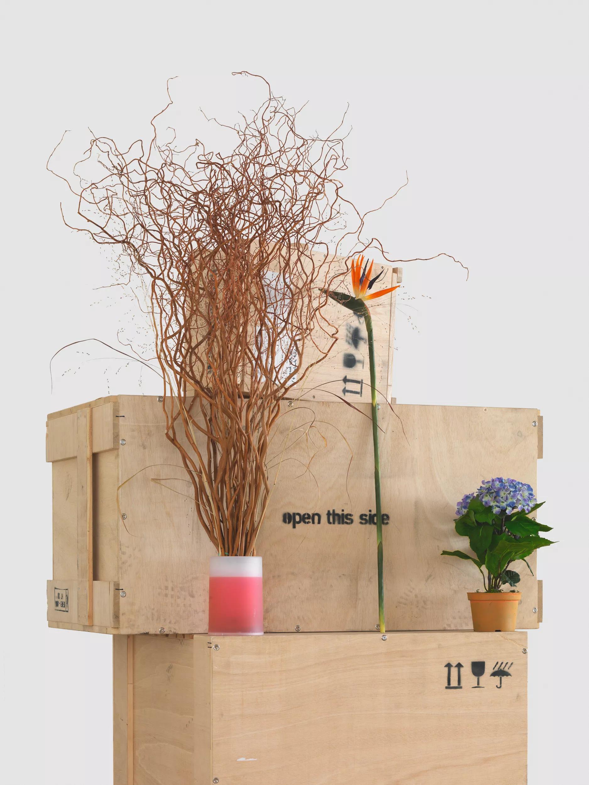 Image for exhibition 