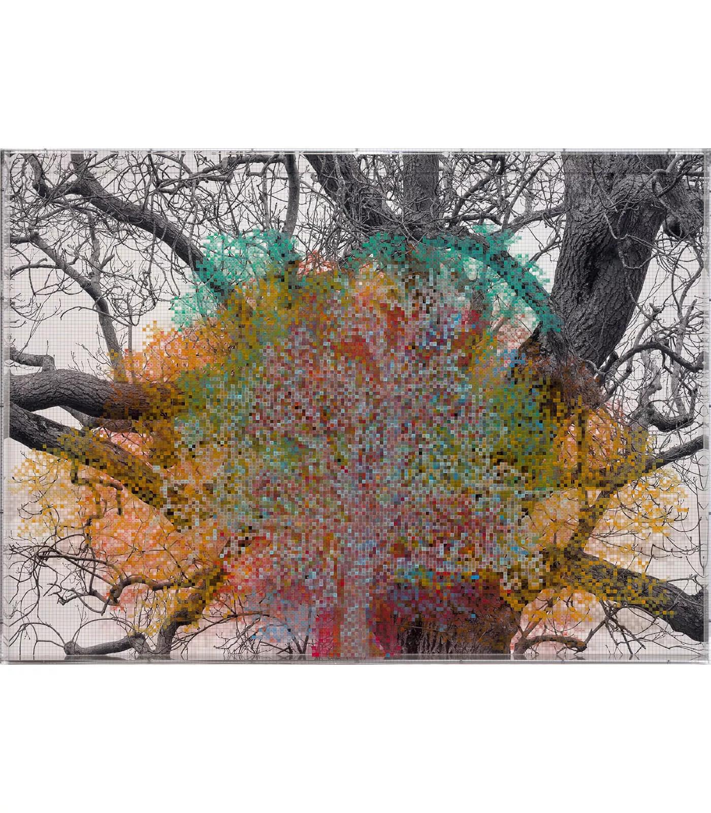 Image for exhibition titled Charles Gaines