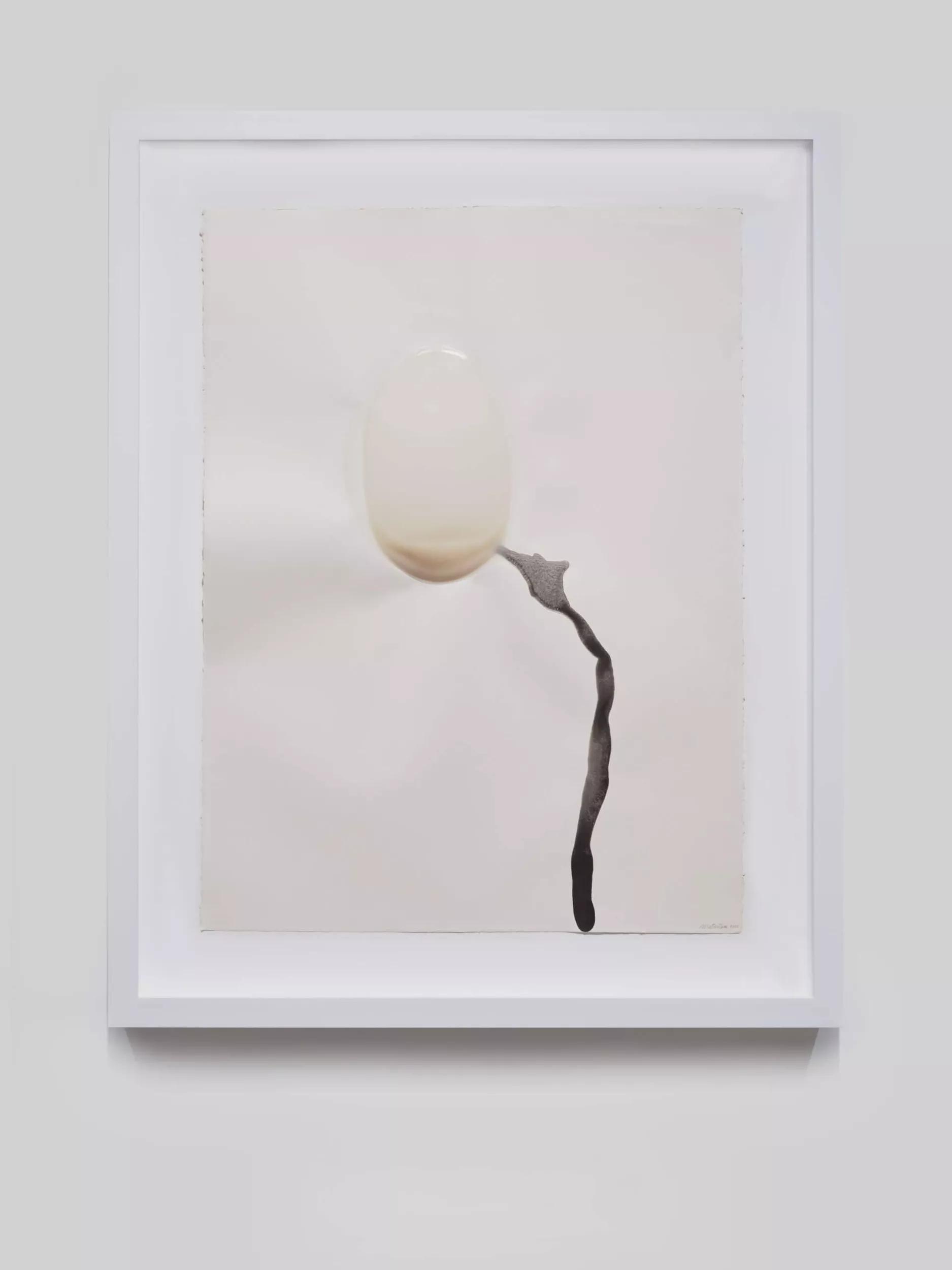 Image for exhibition titled Takesada Matsutani