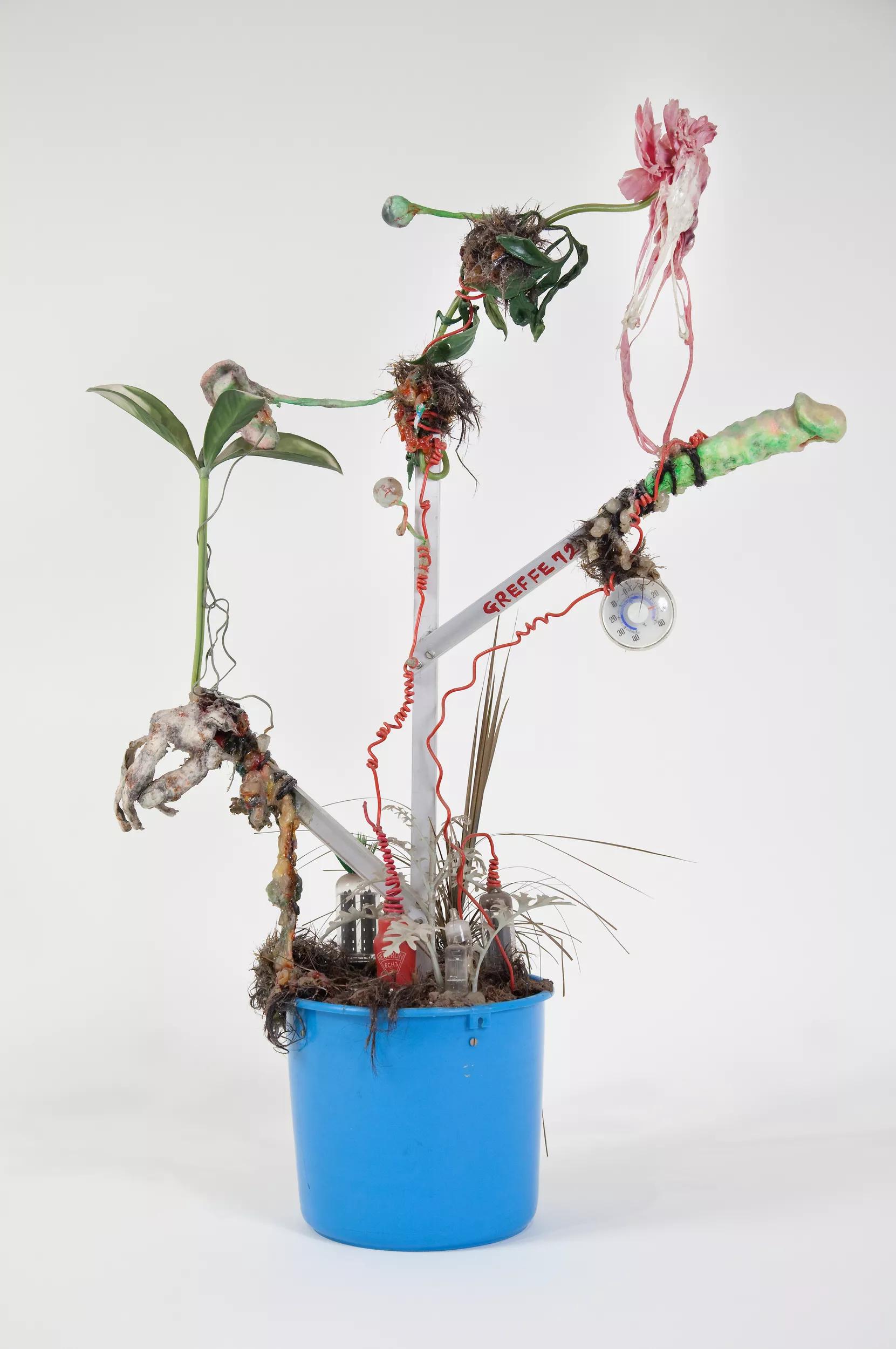 Image for exhibition 