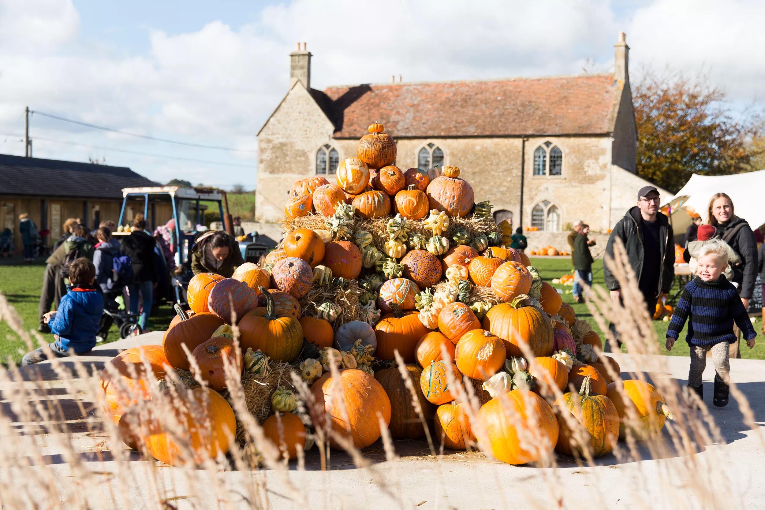 Hero image for event titled Pumpkin Festival 2019