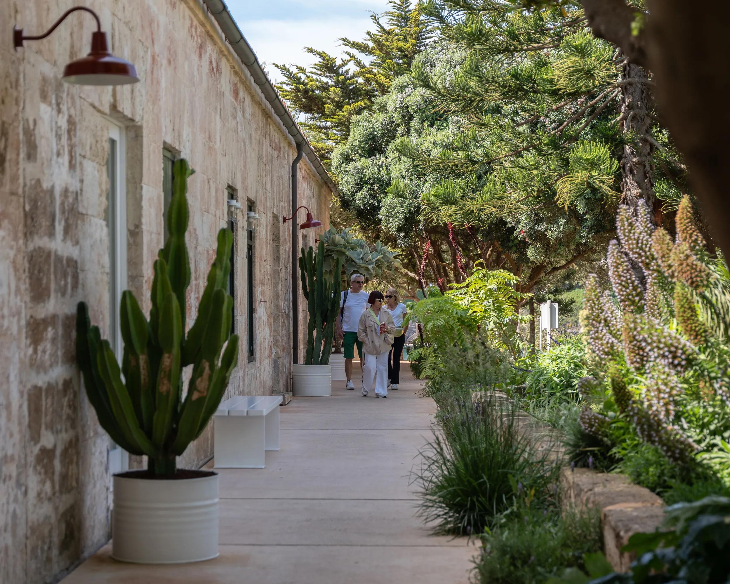 Hero image for event titled Opening Day on Illa del Rei