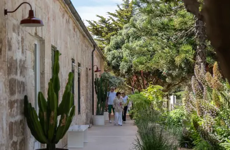 Thumbnail image for event called Opening Day on Illa del Rei