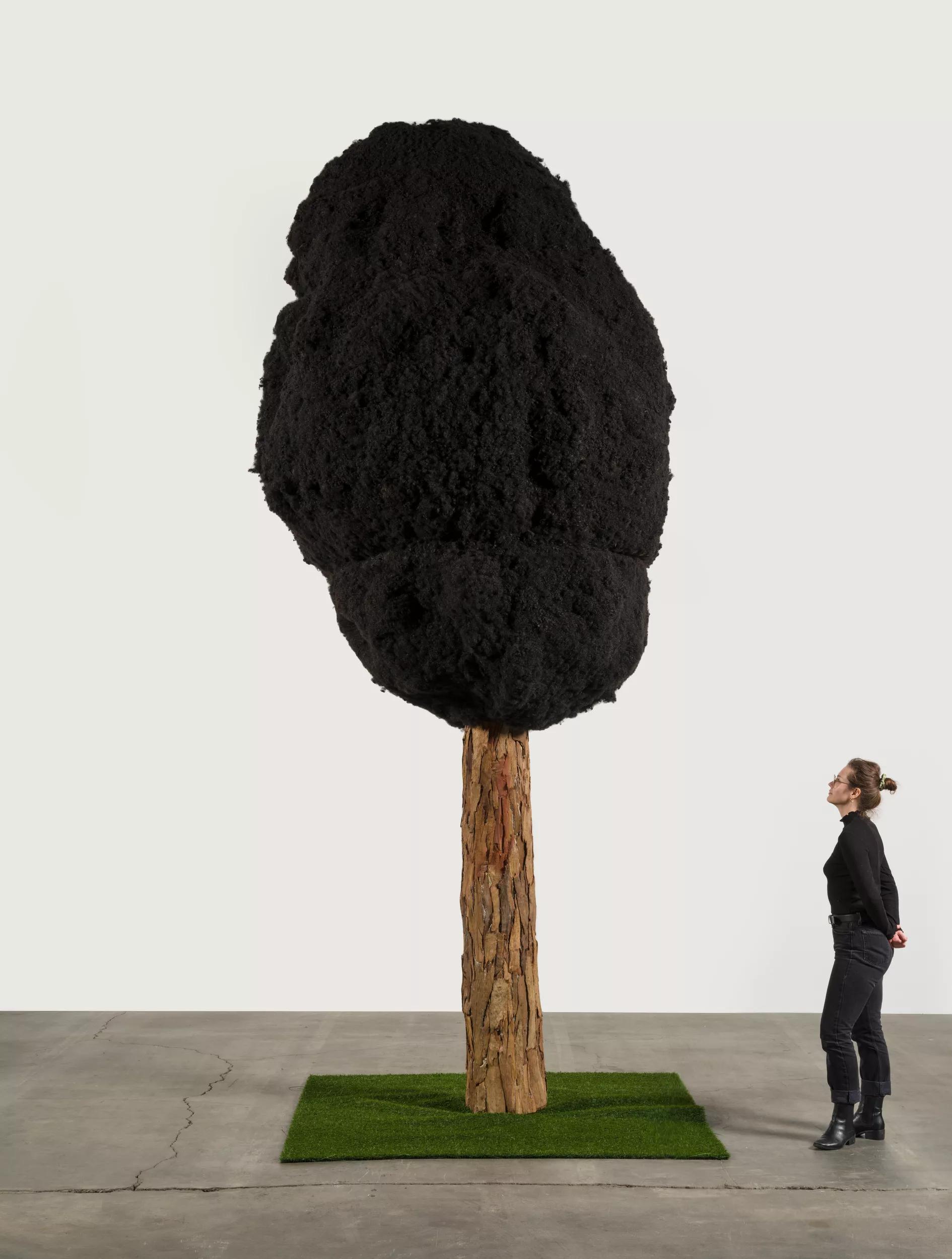 Image for exhibition titled Henry Taylor