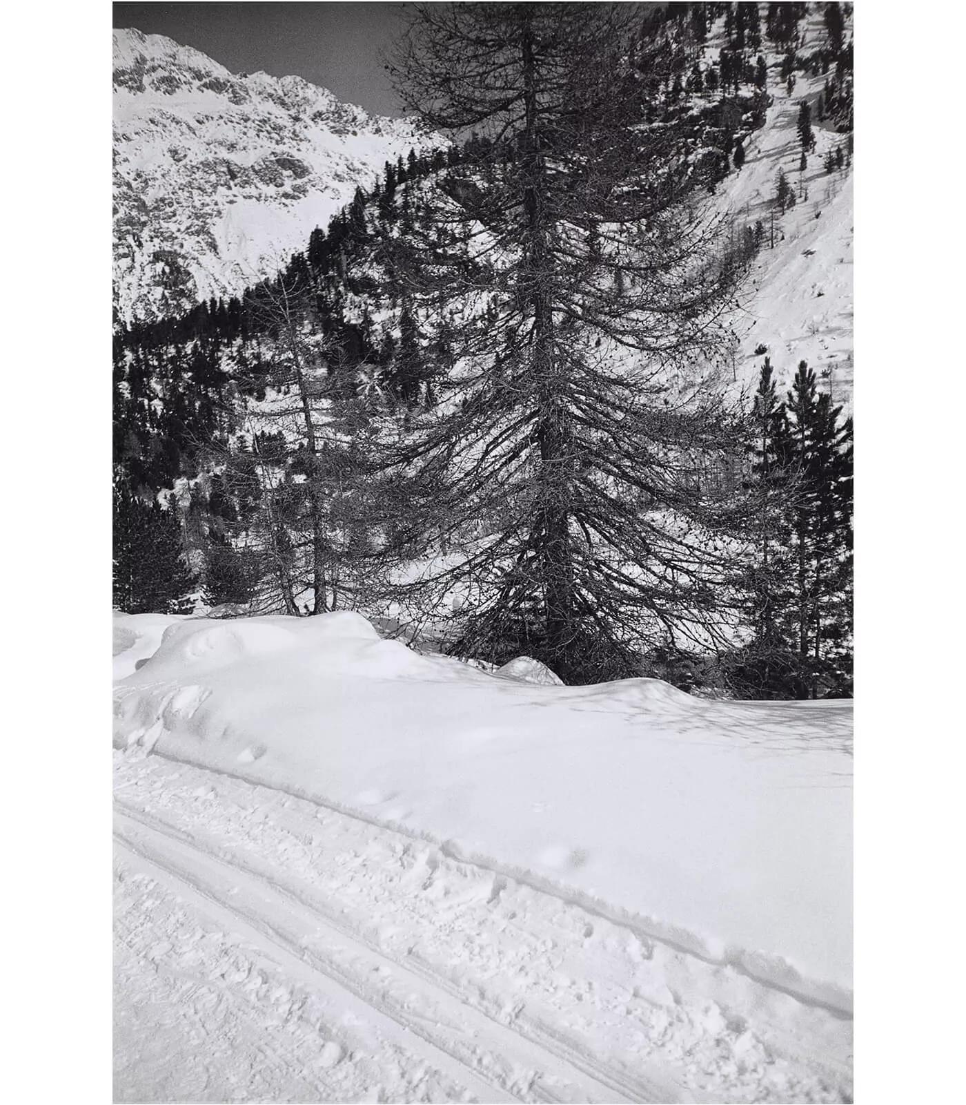Image for exhibition titled Günther Förg