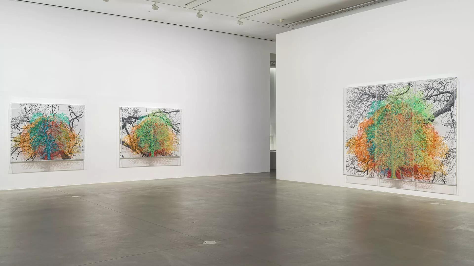 Image for exhibition 